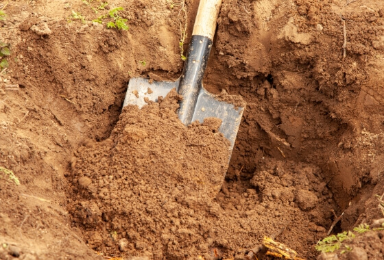 Dig With Care